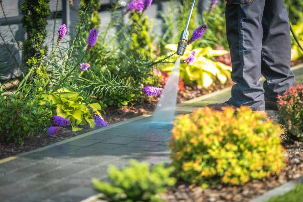 Best Fence Cleaning  in Suncoast Estates, FL