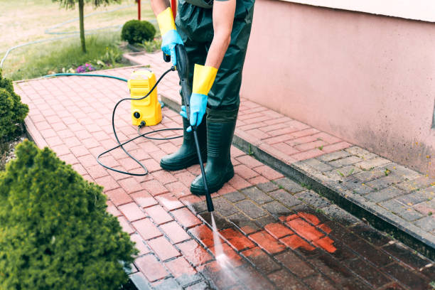 Best Animal Enclosure Cleaning  in Suncoast Estates, FL